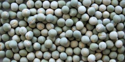 Plan protéines végétales