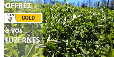 Technologie Luzerne SAS Gold