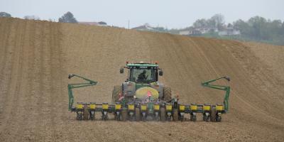 Parole d’Expert – Le maïs en seconde culture