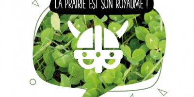 RGT ASGARD, le trèfle blanc aux multiples facettes.